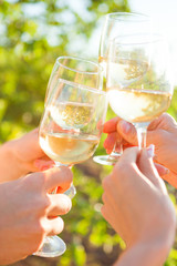 Hands with white wine toasting in garden picnic. Friends Happiness Enjoying Dinning Eating Concept. - 218054612