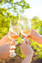 Hands with white wine toasting in garden picnic. Friends Happiness Enjoying Dinning Eating Concept. - 218054620