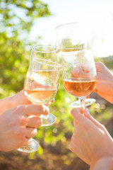 Hands with white wine toasting in garden picnic. Friends Happiness Enjoying Dinning Eating Concept. - 218054622