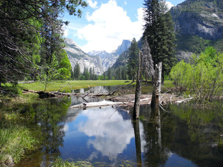 Yosemite National Park, Postcard 