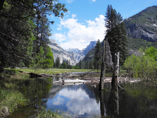 View in the yosemite valley