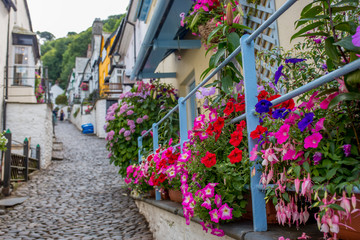 Fototapeta na wymiar Beautiful view of the streets of Clovelly, nice old village in the heart of Devonshire