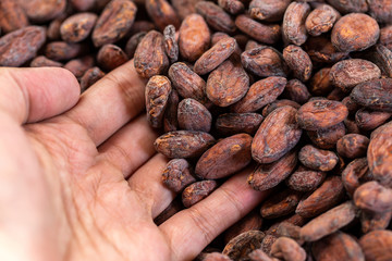 Cocoa beans and cocoa pod on a wooden surface.