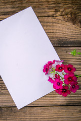 Flowers Phlox and a sheet of paper on a wooden background