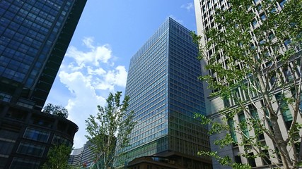 Obraz premium 丸の内の高層ビル群