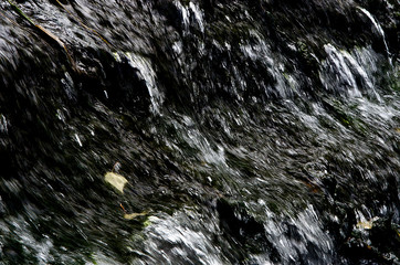 beautiful water in the pond