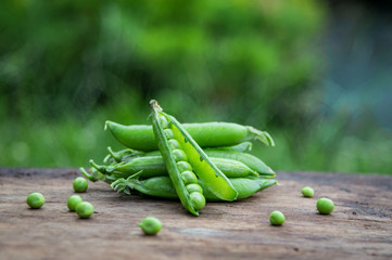 Pea pods on the background of nature