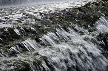 beautiful water in the pond