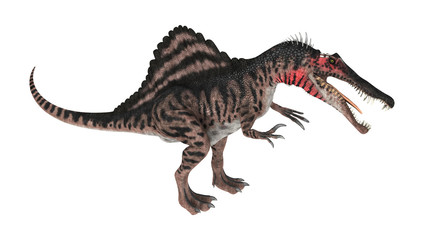 3D Rendering Dinosaur Spinosaurus on White