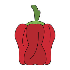 Pepper fresh and natural vegetable vector illustration graphic design