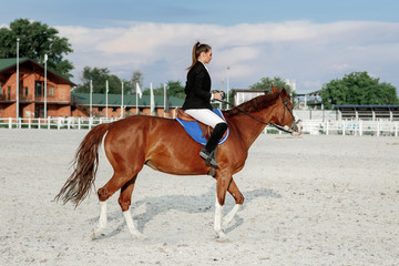 Rider elegant woman riding her horse outside