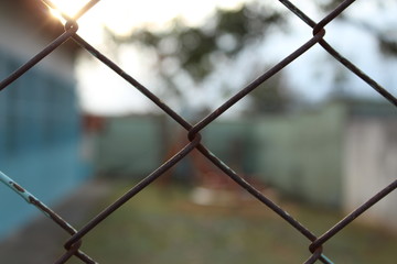 freedom