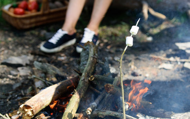 How to roast marshmallows. Marshmallows on stick with bonfire and smoke on background. Roasty, toasty marshmallows are such quintessential taste of picnic. Holding a marshmallow on stick