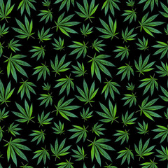 seamless pattern marijuana leaves on black background. cannabis background. concept of drugs, hemp