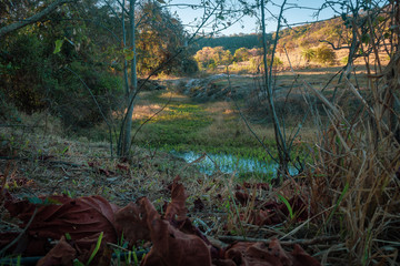 A quiet, colorful scene.