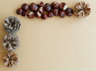 Picture of autumn background with chestnuts and pine cone with copy space over beige background