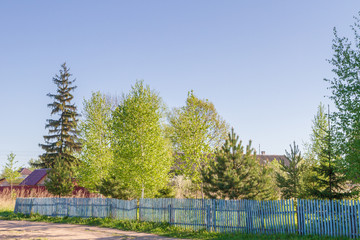 Low wooden fence in spring in the village with different trees