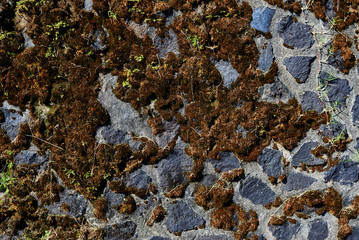 Texture of gray stone wall covered with lichen and moss.