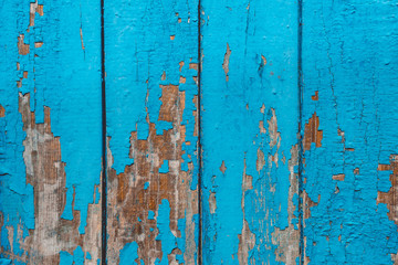 Cracked azure paint. Old rustic wooden background