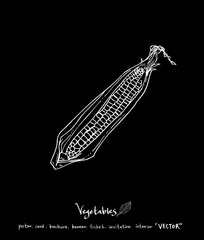 농산물 일러스트 / 손으로 그린 과일과 채소 그림