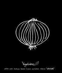 농산물 일러스트 / 손으로 그린 과일과 채소 그림