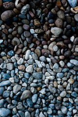 The Dark and The Light