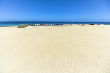 Dunas de Corralejo, sand dunes with sea, Fuerteventura