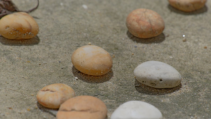 The pebbles are scattered on the cement floor.