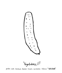 농산물 일러스트 / 손으로 그린 과일과 채소 그림
