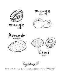 농산물 일러스트 / 손으로 그린 과일과 채소 그림