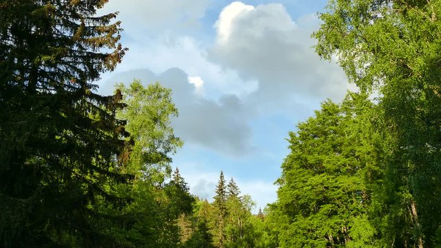 Vitosha Natural Park near Sofia, Bulgaria. The Golden Bridges area.