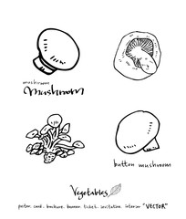 농산물 일러스트 / 손으로 그린 과일과 채소 그림