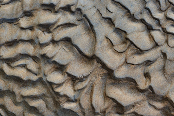 Wave lines in the sand. Texture. The sand on the beach. Wave and sand pattern on the surface of a beach. Sand pattern at the beach can be used as a background for any inscriptions and illustrations.