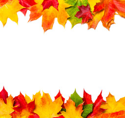 Autumn frame composition made of autumn leaves on white background with Copy space.  Flat lay, top view.
