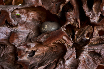 Big trunk texture, tree background. Cut texture of the old tree. Abstract wood face cut texture pattern background. Hole in log decay and leave background. Old natural wooden shabby background.