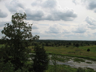 Obraz premium landscape