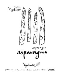 농산물 일러스트 / 손으로 그린 과일과 채소 그림