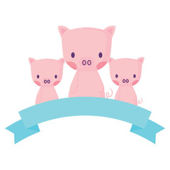 decorative ribbon and cute pigs over white background, vector illustration