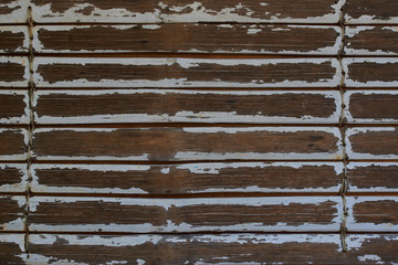 Vintage wooden texture of white painted natural old grunge dirty aged bamboo wood planks with gaps, close up. Bamboo fence background.