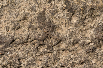 Old concrete wall outdoors