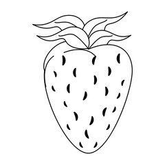 Strawberry natural fruit vector illustration graphic design