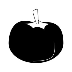 Tomato fresh vegetable vector illustration graphic design