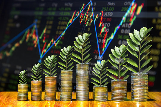 The  Business Coins as Saving and Stock Exchange Concept