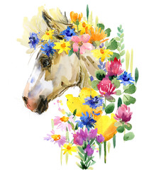 cute foal watercolor illustration. little horse in the summer flowers © Елена Фаенкова