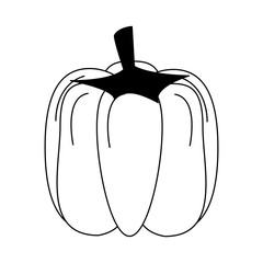 Pumpkin fresh and natural vegetable vector illustration graphic design