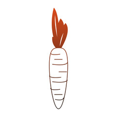 Carrot fresh and natural vegetable vector illustration graphic design