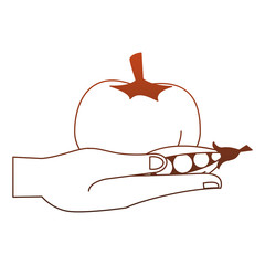 Hand with tomato and peas fresh and natural vegetables vector illustration graphic design
