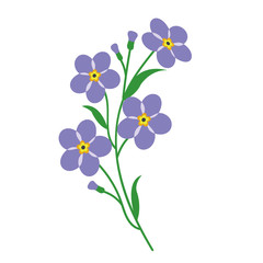 Nature flower violet purple forget me not