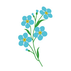 Nature flower light blue forget me not