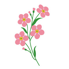 Nature flower pink forget me not
